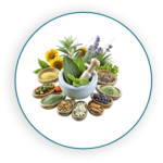 Deepraj Global Pvt Ltd Pharmaceutical Export Products